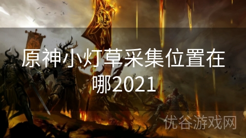 原神小灯草采集位置在哪2021