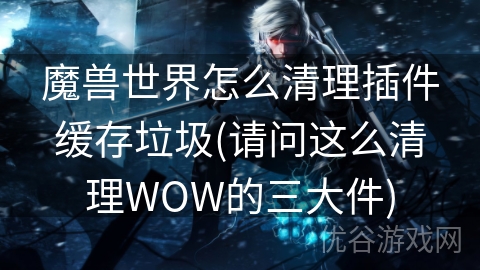 魔兽世界怎么清理插件缓存垃圾(请问这么清理WOW的三大件)