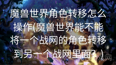 魔兽世界角色转移怎么操作(魔兽世界能不能将一个战网的角色转移到另一个战网里面？)