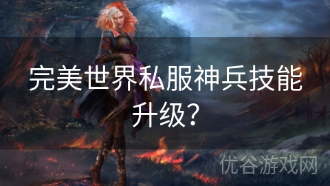 完美世界私服神兵技能升级？