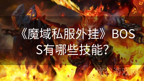 《魔域私服外挂》BOSS有哪些技能？