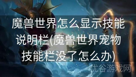 魔兽世界怎么显示技能说明栏(魔兽世界宠物技能栏没了怎么办)