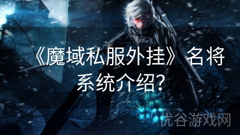 《魔域私服外挂》名将系统介绍？