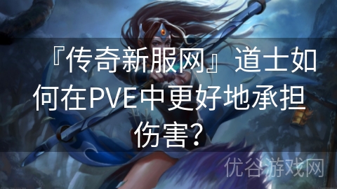 『传奇新服网』道士如何在PVE中更好地承担伤害？