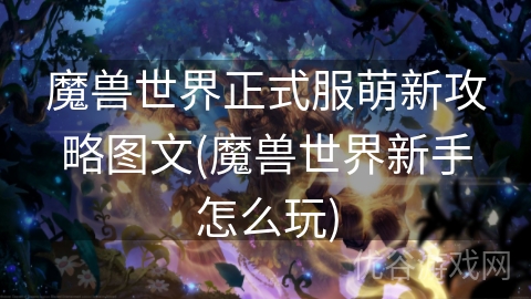 魔兽世界正式服萌新攻略图文(魔兽世界新手怎么玩)