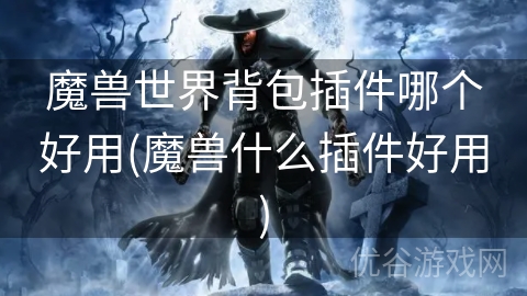 魔兽世界背包插件哪个好用(魔兽什么插件好用)