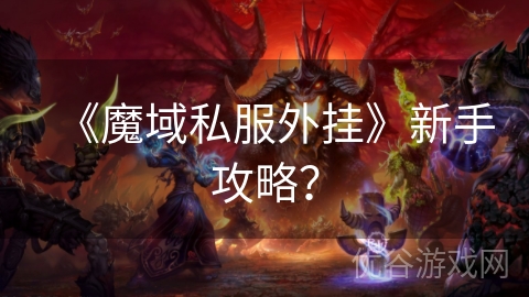 《魔域私服外挂》新手攻略？