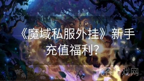 《魔域私服外挂》新手充值福利？