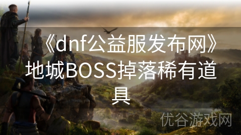 《dnf公益服发布网》地城BOSS掉落稀有道具