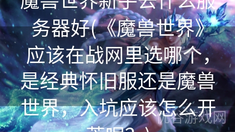 魔兽世界新手去什么服务器好(《魔兽世界》应该在战网里选哪个，是经典怀旧服还是魔兽世界，入坑应该怎么开荒呢？)