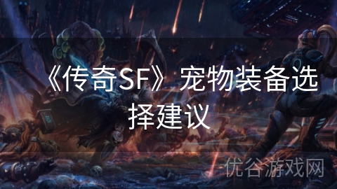 《传奇SF》宠物装备选择建议