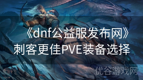 《dnf公益服发布网》刺客更佳PVE装备选择