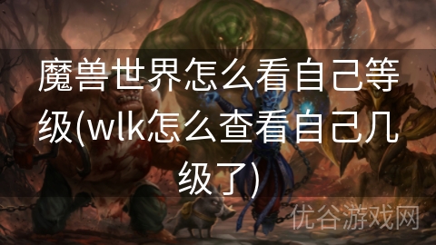 魔兽世界怎么看自己等级(wlk怎么查看自己几级了)