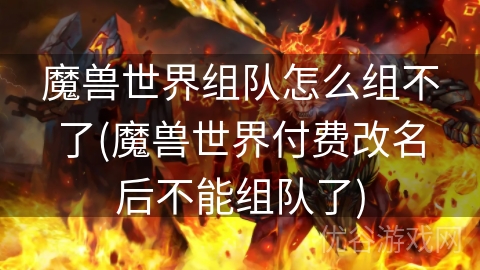 魔兽世界组队怎么组不了(魔兽世界付费改名后不能组队了)