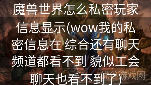 魔兽世界怎么私密玩家信息显示(wow我的私密信息在 综合还有聊天频道都看不到 貌似工会聊天也看不到了)