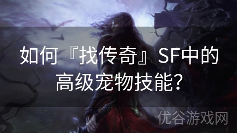 如何『找传奇』SF中的高级宠物技能？