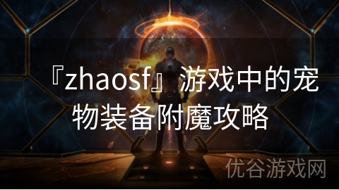 『zhaosf』游戏中的宠物装备附魔攻略