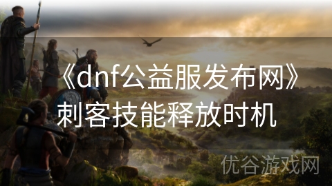 《dnf公益服发布网》刺客技能释放时机