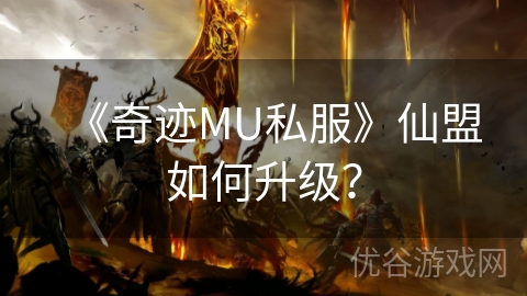 《奇迹MU私服》仙盟如何升级？