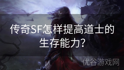 传奇SF怎样提高道士的生存能力？