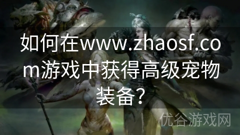 如何在www.zhaosf.com游戏中获得高级宠物装备？