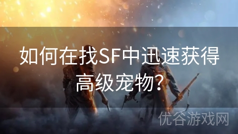 如何在找SF中迅速获得高级宠物？