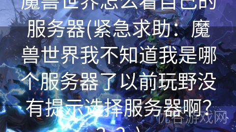 魔兽世界怎么看自己的服务器(紧急求助：魔兽世界我不知道我是哪个服务器了以前玩野没有提示选择服务器啊？？？)