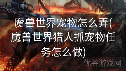 魔兽世界宠物怎么弄(魔兽世界猎人抓宠物任务怎么做)