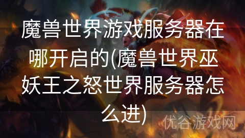 魔兽世界游戏服务器在哪开启的(魔兽世界巫妖王之怒世界服务器怎么进)