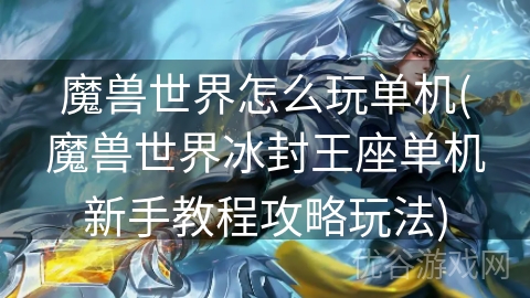 魔兽世界怎么玩单机(魔兽世界冰封王座单机新手教程攻略玩法)