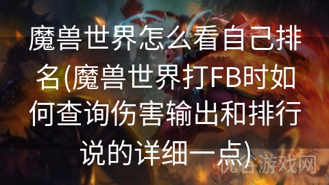 魔兽世界怎么看自己排名(魔兽世界打FB时如何查询伤害输出和排行说的详细一点)