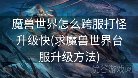 魔兽世界怎么跨服打怪升级快(求魔兽世界台服升级方法)