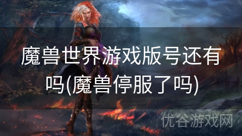 魔兽世界游戏版号还有吗(魔兽停服了吗)