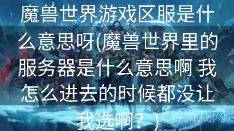 魔兽世界游戏区服是什么意思呀(魔兽世界里的服务器是什么意思啊 我怎么进去的时候都没让我选啊？)