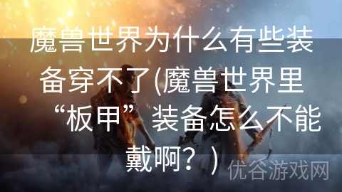 魔兽世界为什么有些装备穿不了(魔兽世界里“板甲”装备怎么不能戴啊？)