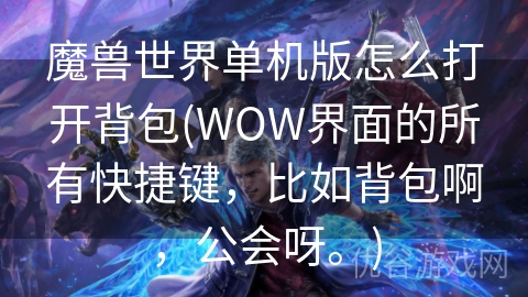 魔兽世界单机版怎么打开背包(WOW界面的所有快捷键，比如背包啊，公会呀。)