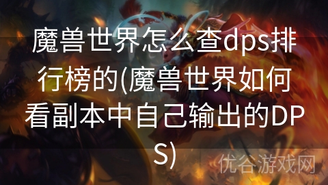 魔兽世界怎么查dps排行榜的(魔兽世界如何看副本中自己输出的DPS)