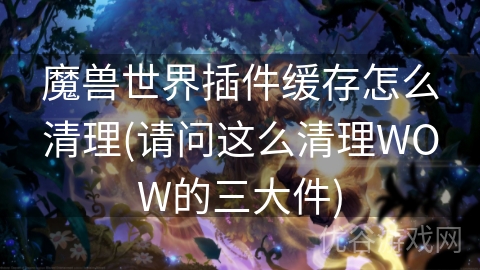 魔兽世界插件缓存怎么清理(请问这么清理WOW的三大件)