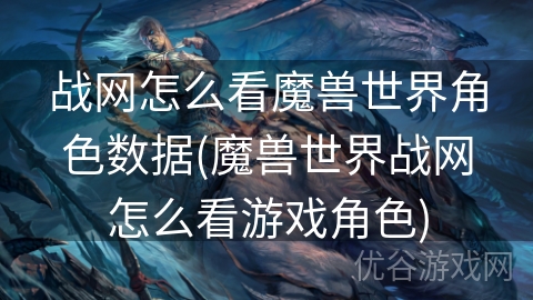 战网怎么看魔兽世界角色数据(魔兽世界战网怎么看游戏角色)