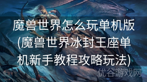 魔兽世界怎么玩单机版(魔兽世界冰封王座单机新手教程攻略玩法)