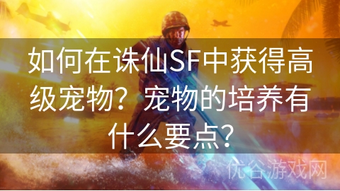 如何在诛仙SF中获得高级宠物？宠物的培养有什么要点？