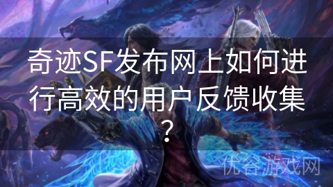 奇迹SF发布网上如何进行高效的用户反馈收集？