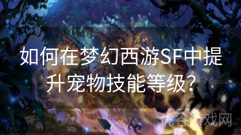 如何在梦幻西游SF中提升宠物技能等级？