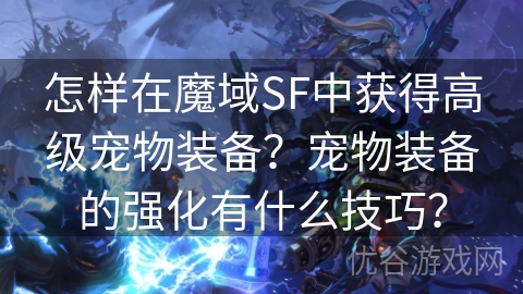 怎样在魔域SF中获得高级宠物装备？宠物装备的强化有什么技巧？