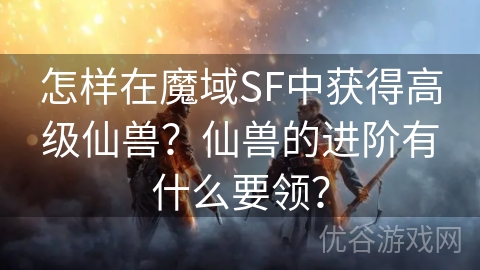 怎样在魔域SF中获得高级仙兽？仙兽的进阶有什么要领？