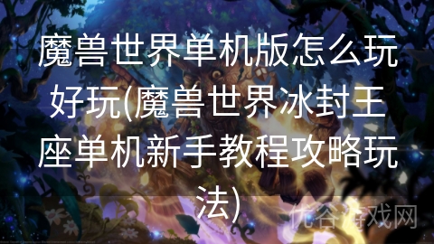 魔兽世界单机版怎么玩好玩(魔兽世界冰封王座单机新手教程攻略玩法)