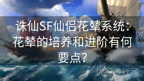 诛仙SF仙侣花辇系统：花辇的培养和进阶有何要点？