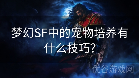 梦幻SF中的宠物培养有什么技巧？