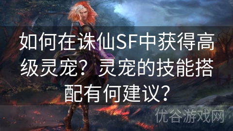 如何在诛仙SF中获得高级灵宠？灵宠的技能搭配有何建议？