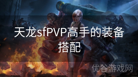 天龙sfPVP高手的装备搭配